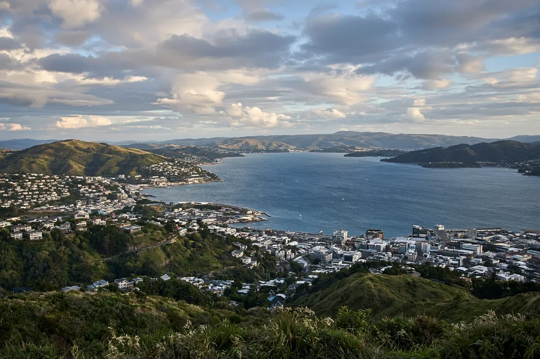 Wellington wrapped around its harbour, seen from the hills